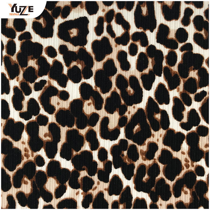 YZK, 010055 Dy III * II costa II-latus Peniculus Print