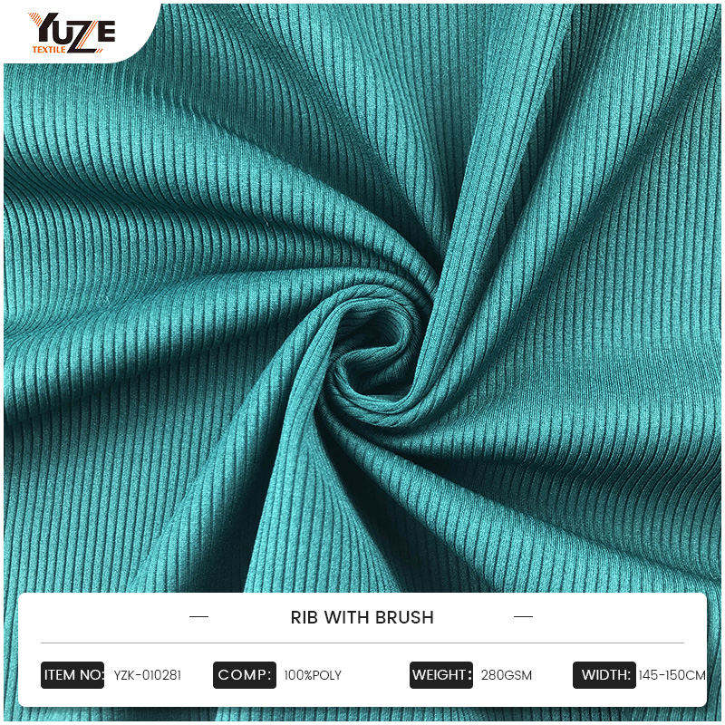 YZK, (X) CCLXXXI costa cum Peniculus